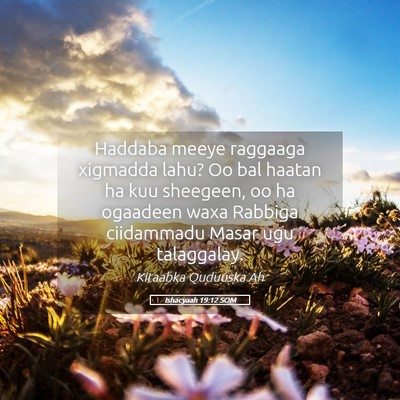 Picture 05 - Ishacyaah 19:12 SOM - Haddaba meeye raggaaga xigmadda lahu? Oo bal - Bible Verse Picture