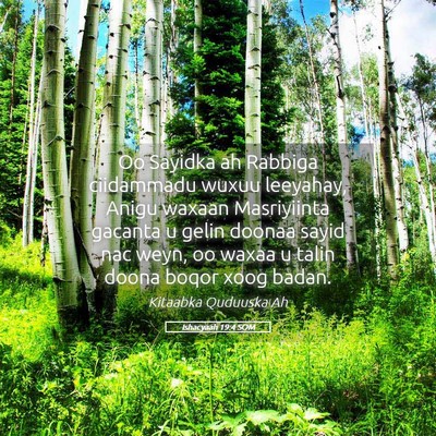 Picture 05 - Ishacyaah 19:4 SOM - Oo Sayidka ah Rabbiga ciidammadu wuxuu leeyahay, - Bible Verse Picture