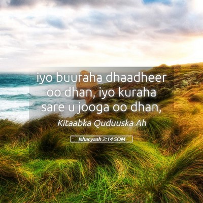 Picture 05 - Ishacyaah 2:14 SOM - iyo buuraha dhaadheer oo dhan, iyo kuraha sare u - Bible Verse Picture