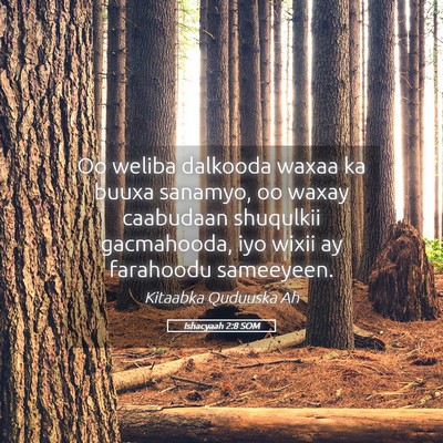 Picture 05 - Ishacyaah 2:8 SOM - Oo weliba dalkooda waxaa ka buuxa sanamyo, oo - Bible Verse Picture