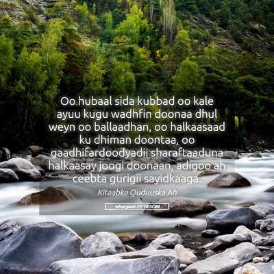 Picture 05 - Ishacyaah 22:18 SOM - Oo hubaal sida kubbad oo kale ayuu kugu wadhfin - Bible Verse Picture