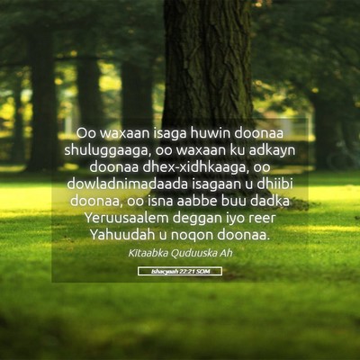 Picture 05 - Ishacyaah 22:21 SOM - Oo waxaan isaga huwin doonaa shuluggaaga, oo - Bible Verse Picture