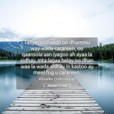 Picture 05 - Ishacyaah 22:3 SOM - Taliyayaashaadii oo dhammu way wada carareen, oo - Bible Verse Picture
