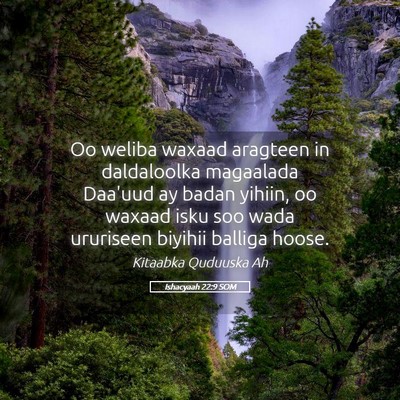 Picture 05 - Ishacyaah 22:9 SOM - Oo weliba waxaad aragteen in daldaloolka - Bible Verse Picture