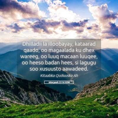 Picture 05 - Ishacyaah 23:16 SOM - Dhilladii la illoobayay, kataarad qaado, oo - Bible Verse Picture