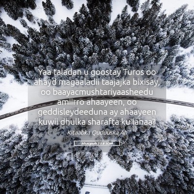 Picture 05 - Ishacyaah 23:8 SOM - Yaa taladan u goostay Turos oo ahayd magaaladii - Bible Verse Picture