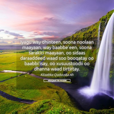 Picture 05 - Ishacyaah 26:14 SOM - Iyagu way dhinteen, soona noolaan maayaan, way - Bible Verse Picture