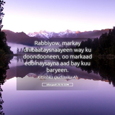 Picture 05 - Ishacyaah 26:16 SOM - Rabbiyow, markay dhibaataysnaayeen way ku - Bible Verse Picture