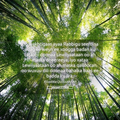 Picture 05 - Ishacyaah 27:1 SOM - Oo wakhtigaas ayaa Rabbigu seeftiisa adag ee weyn - Bible Verse Picture