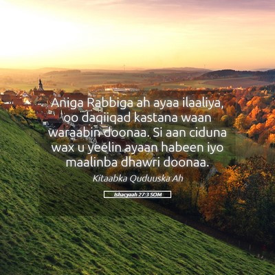 Picture 05 - Ishacyaah 27:3 SOM - Aniga Rabbiga ah ayaa ilaaliya, oo daqiiqad - Bible Verse Picture