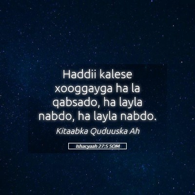 Picture 05 - Ishacyaah 27:5 SOM - Haddii kalese xooggayga ha la qabsado, ha layla - Bible Verse Picture