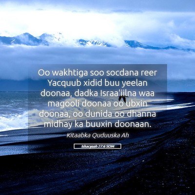 Picture 05 - Ishacyaah 27:6 SOM - Oo wakhtiga soo socdana reer Yacquub xidid buu - Bible Verse Picture