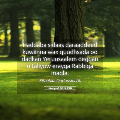 Picture 05 - Ishacyaah 28:14 SOM - Haddaba sidaas daraaddeed kuwiinna wax quudhsada - Bible Verse Picture