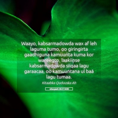 Picture 05 - Ishacyaah 28:27 SOM - Waayo, kabsarmadowda wax af leh laguma tumo, oo - Bible Verse Picture