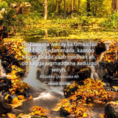 Picture 05 - Ishacyaah 28:29 SOM - Oo taasuna waxay ka timaadaa Rabbiga ciidammada, - Bible Verse Picture