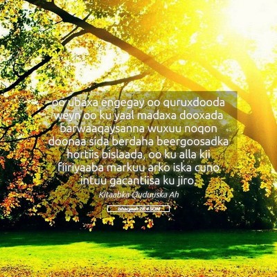 Picture 05 - Ishacyaah 28:4 SOM - oo ubaxa engegay oo quruxdooda weyn oo ku yaal - Bible Verse Picture
