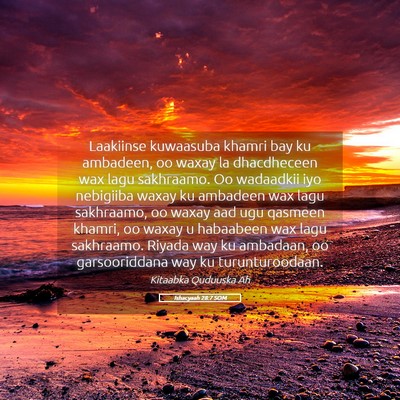 Picture 05 - Ishacyaah 28:7 SOM - Laakiinse kuwaasuba khamri bay ku ambadeen, oo - Bible Verse Picture