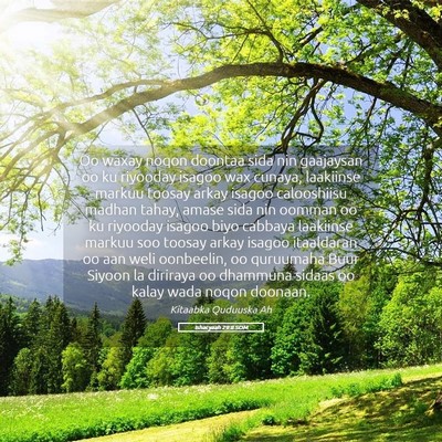 Picture 05 - Ishacyaah 29:8 SOM - Oo waxay noqon doontaa sida nin gaajaysan oo ku - Bible Verse Picture