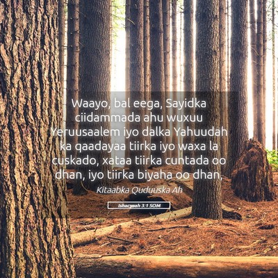 Picture 05 - Ishacyaah 3:1 SOM - Waayo, bal eega, Sayidka ciidammada ahu wuxuu - Bible Verse Picture