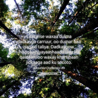 Picture 05 - Ishacyaah 3:12 SOM - Laakiinse waxaa dulma dadkayga carruur, oo dumar - Bible Verse Picture