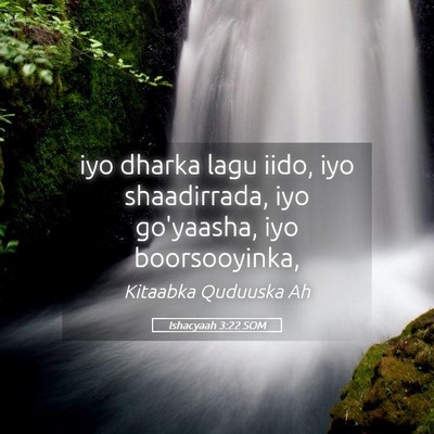 Picture 05 - Ishacyaah 3:22 SOM - iyo dharka lagu iido, iyo shaadirrada, iyo - Bible Verse Picture