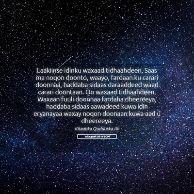 Picture 05 - Ishacyaah 30:16 SOM - Laakiinse idinku waxaad tidhaahdeen, Saas ma - Bible Verse Picture