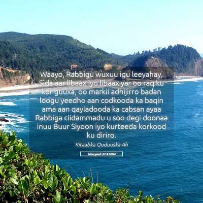 Picture 05 - Ishacyaah 31:4 SOM - Waayo, Rabbigu wuxuu igu leeyahay, Sida aar - Bible Verse Picture