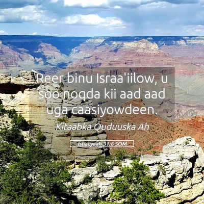 Picture 05 - Ishacyaah 31:6 SOM - Reer binu Israa'iilow, u soo noqda kii aad aad - Bible Verse Picture