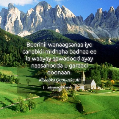 Picture 05 - Ishacyaah 32:12 SOM - Beerihii wanaagsanaa iyo canabkii midhaha badnaa - Bible Verse Picture
