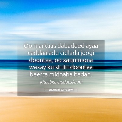 Picture 05 - Ishacyaah 32:16 SOM - Oo markaas dabadeed ayaa caddaaladu cidlada joogi - Bible Verse Picture