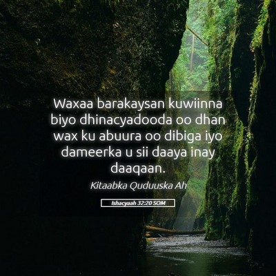 Picture 05 - Ishacyaah 32:20 SOM - Waxaa barakaysan kuwiinna biyo dhinacyadooda oo - Bible Verse Picture
