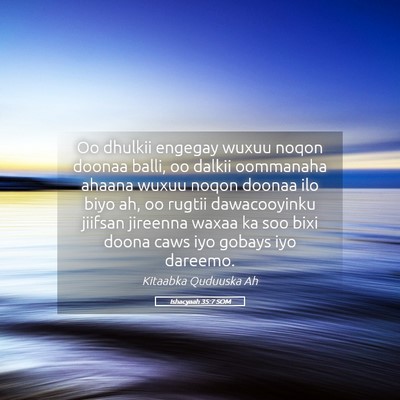 Picture 05 - Ishacyaah 35:7 SOM - Oo dhulkii engegay wuxuu noqon doonaa balli, oo - Bible Verse Picture
