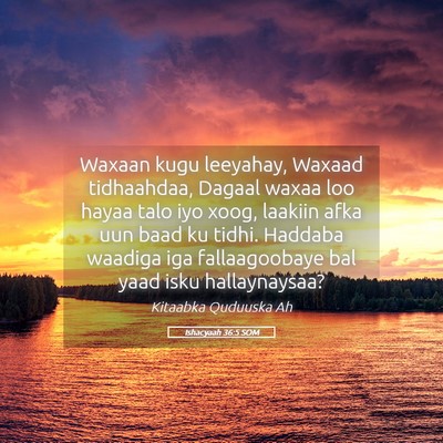 Picture 05 - Ishacyaah 36:5 SOM - Waxaan kugu leeyahay, Waxaad tidhaahdaa, Dagaal - Bible Verse Picture
