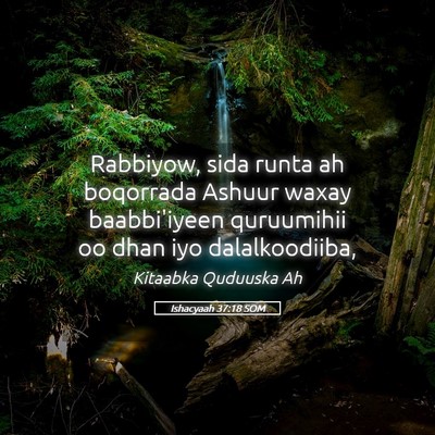 Picture 05 - Ishacyaah 37:18 SOM - Rabbiyow, sida runta ah boqorrada Ashuur waxay - Bible Verse Picture