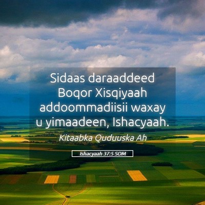 Picture 05 - Ishacyaah 37:5 SOM - Sidaas daraaddeed Boqor Xisqiyaah addoommadiisii - Bible Verse Picture
