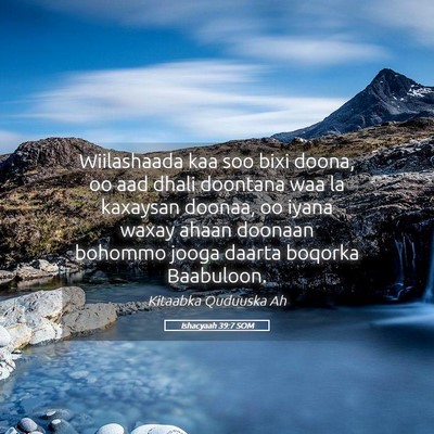Picture 05 - Ishacyaah 39:7 SOM - Wiilashaada kaa soo bixi doona, oo aad dhali - Bible Verse Picture
