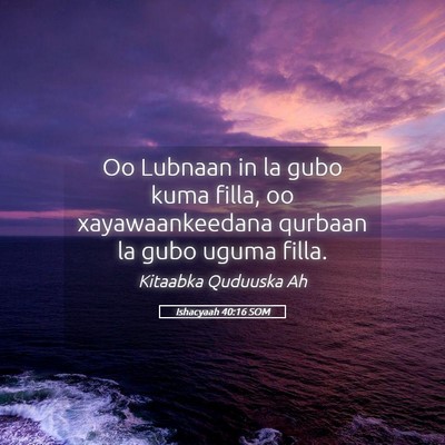 Picture 05 - Ishacyaah 40:16 SOM - Oo Lubnaan in la gubo kuma filla, oo - Bible Verse Picture