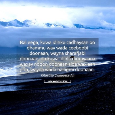 Picture 05 - Ishacyaah 41:11 SOM - Bal eega, kuwa idinku cadhaysan oo dhammu way - Bible Verse Picture