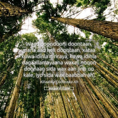 Picture 05 - Ishacyaah 41:12 SOM - Waad doondooni doontaan, mana aad heli doontaan, - Bible Verse Picture