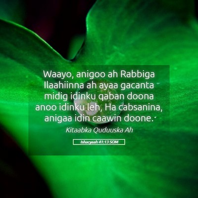 Picture 05 - Ishacyaah 41:13 SOM - Waayo, anigoo ah Rabbiga Ilaahiinna ah ayaa - Bible Verse Picture