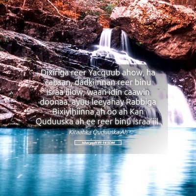 Picture 05 - Ishacyaah 41:14 SOM - Dixiriga reer Yacquub ahow, ha cabsan, dadkiinnan - Bible Verse Picture