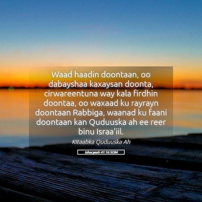 Picture 05 - Ishacyaah 41:16 SOM - Waad haadin doontaan, oo dabayshaa kaxaysan - Bible Verse Picture