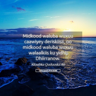 Picture 05 - Ishacyaah 41:6 SOM - Midkood waluba wuxuu caawiyey deriskiisii, oo - Bible Verse Picture