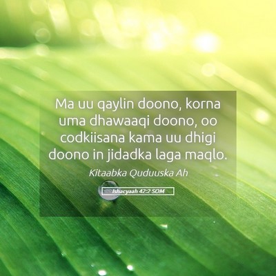 Picture 05 - Ishacyaah 42:2 SOM - Ma uu qaylin doono, korna uma dhawaaqi doono, oo - Bible Verse Picture