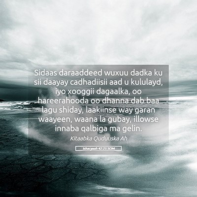 Picture 05 - Ishacyaah 42:25 SOM - Sidaas daraaddeed wuxuu dadka ku sii daayay - Bible Verse Picture