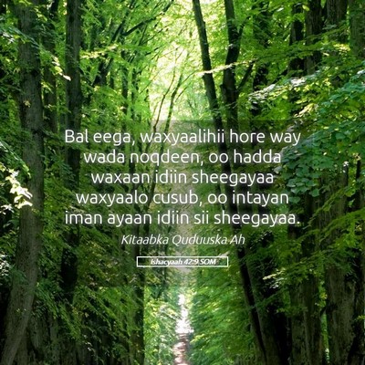 Picture 05 - Ishacyaah 42:9 SOM - Bal eega, waxyaalihii hore way wada noqdeen, oo - Bible Verse Picture