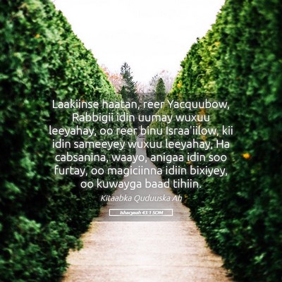 Picture 05 - Ishacyaah 43:1 SOM - Laakiinse haatan, reer Yacquubow, Rabbigii idin - Bible Verse Picture
