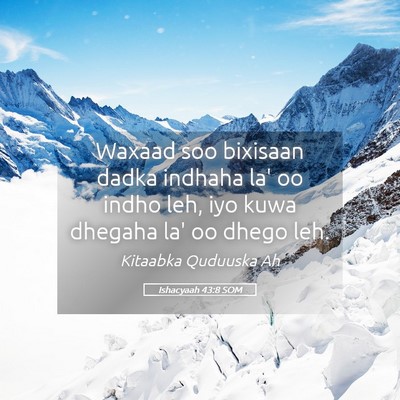 Picture 05 - Ishacyaah 43:8 SOM - Waxaad soo bixisaan dadka indhaha la' oo indho - Bible Verse Picture