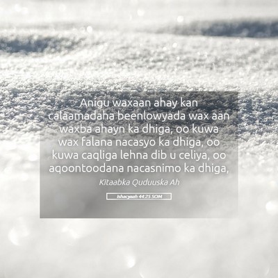 Picture 05 - Ishacyaah 44:25 SOM - Anigu waxaan ahay kan calaamadaha beenlowyada wax - Bible Verse Picture
