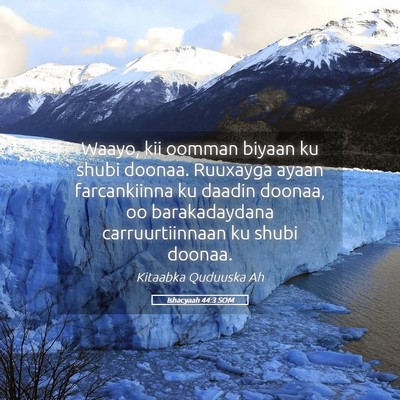 Picture 05 - Ishacyaah 44:3 SOM - Waayo, kii oomman biyaan ku shubi doonaa. - Bible Verse Picture
